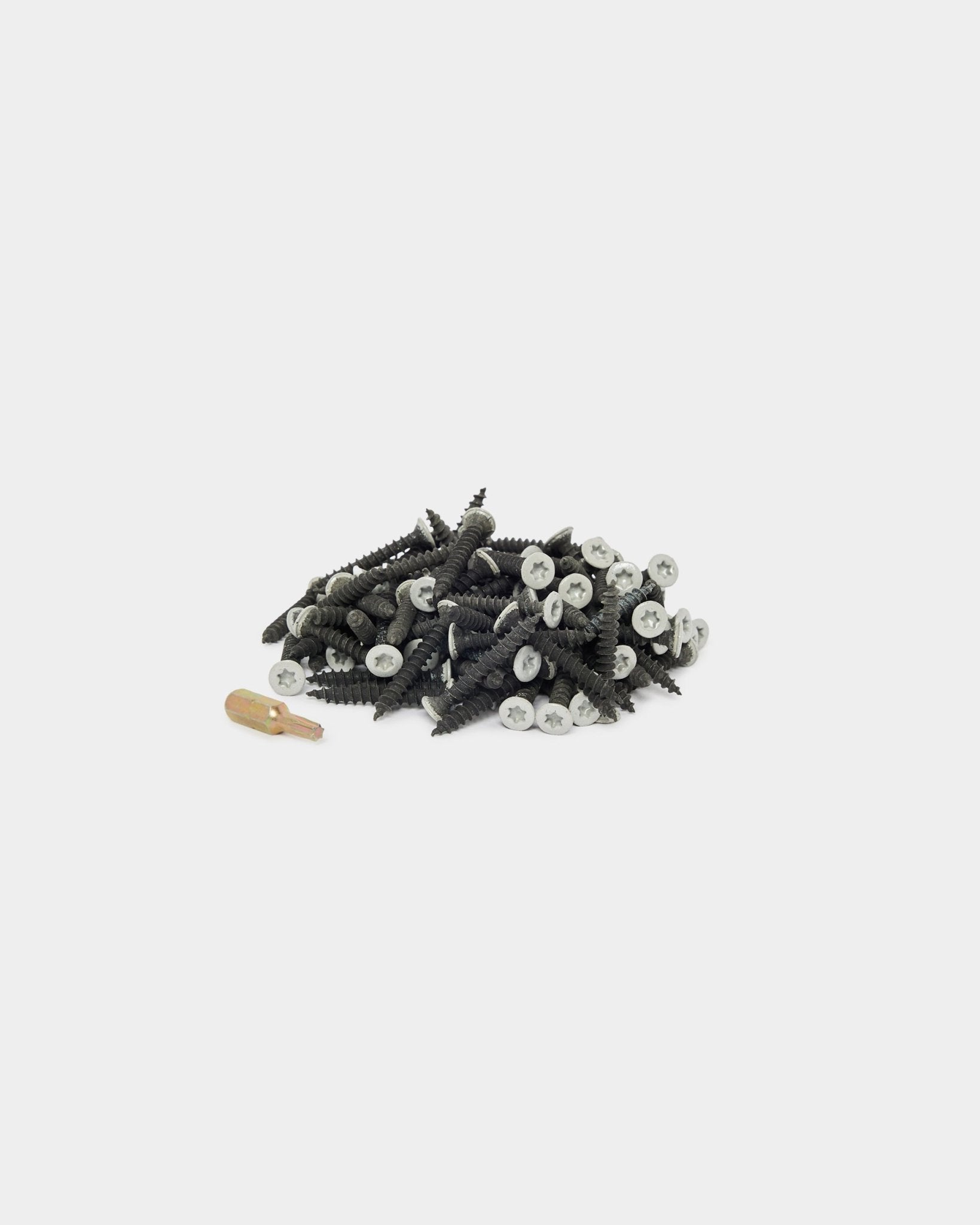 100 grey screws and a small light brown wooden peg, WoodUpp installation components, arranged on a plain white background.
