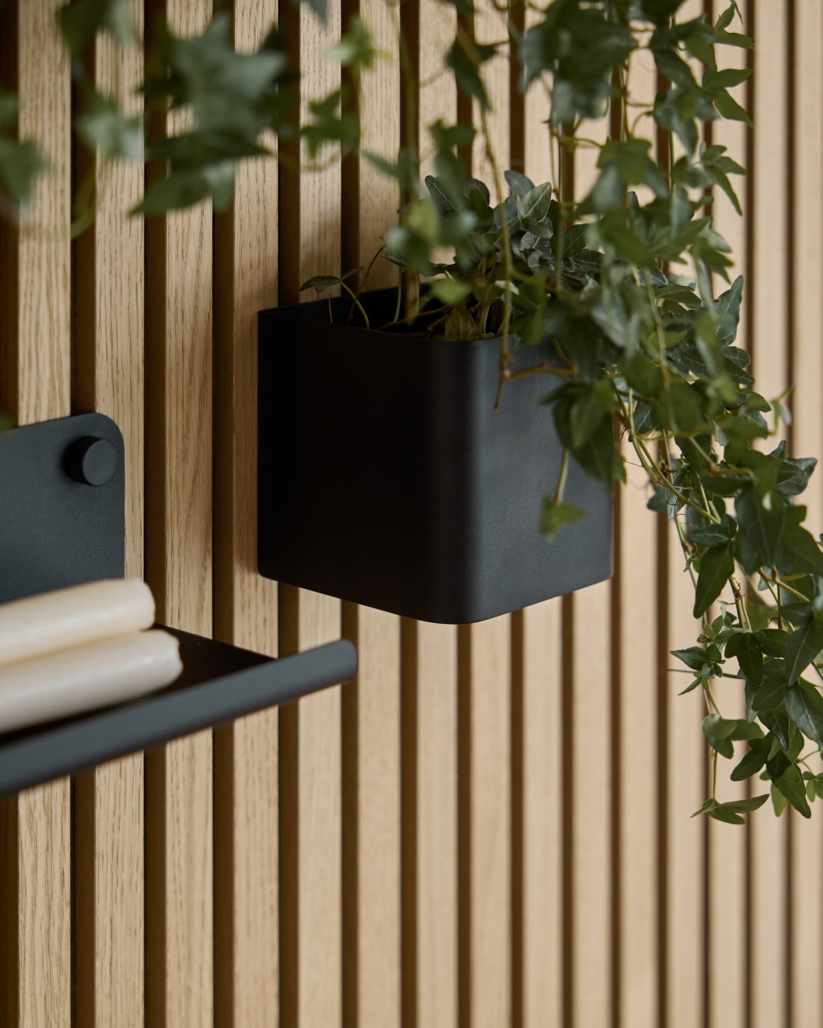 A black 11.9 cm WoodUpp Norr Plant Box with green ivy hangs on a light wood Akupanel acoustic panel; part of a matching shelf with rolled papers is visible.