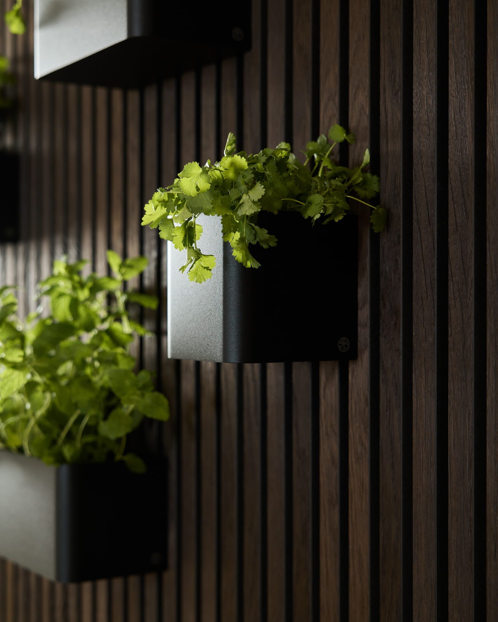 Green plants in the WoodUpp Norr Plant Box, 11.9 cm Black, set against a dark vertical acoustic wood panel wall.