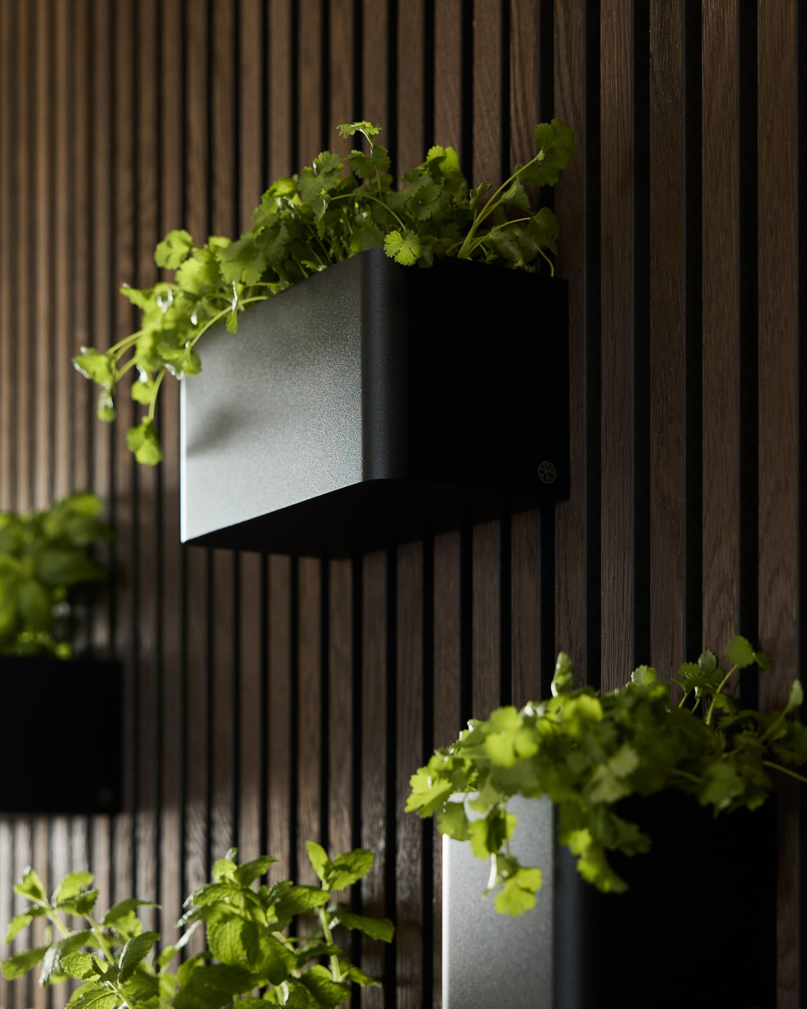 Black Norr Plant Box (23.9 cm) by WoodUpp, featuring green plants mounted on a vertical dark wooden Akupanel acoustic panel.
